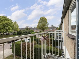 Kleine Beerstraat 53, DORDRECHT