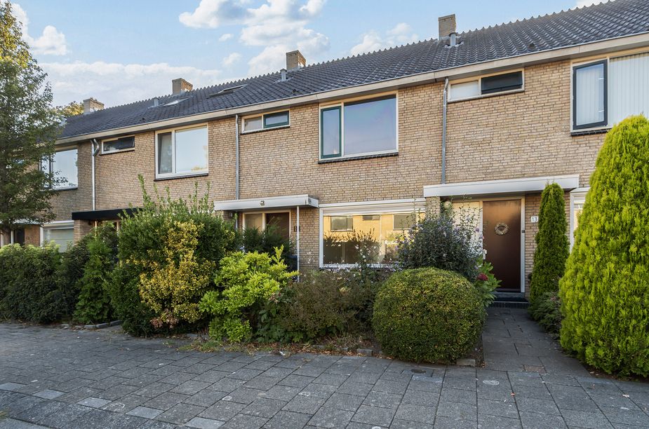 Kameleonring 15