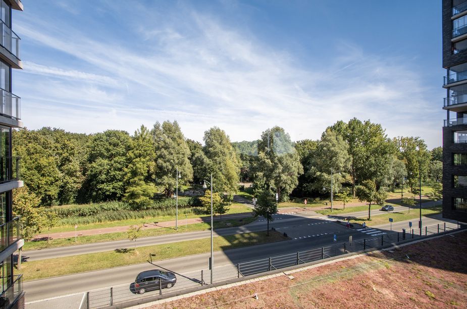Overkampweg 169