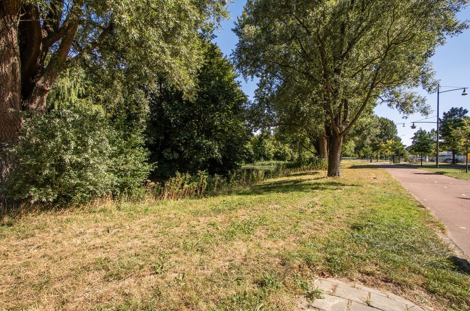 Overkampweg 169