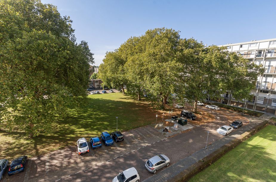 Van Bosseplantsoen 112