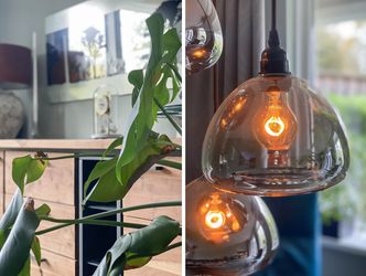 Mahonie 139, DORDRECHT