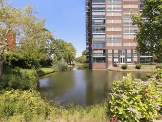 Campanula 3 15, DORDRECHT