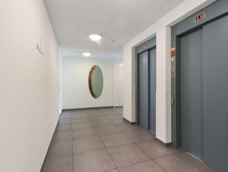 Campanula 3 15, DORDRECHT