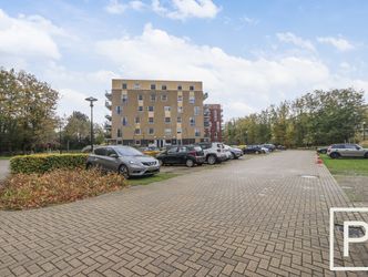 Campanula 3 15, DORDRECHT