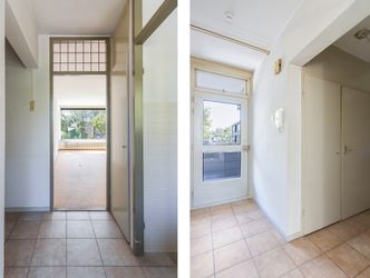 Campanula 82, DORDRECHT