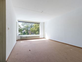 Campanula 82, DORDRECHT