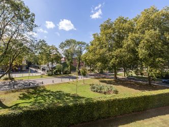 Campanula 82, DORDRECHT