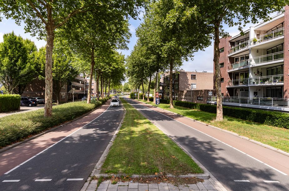 Hermann Hesse-erf 156