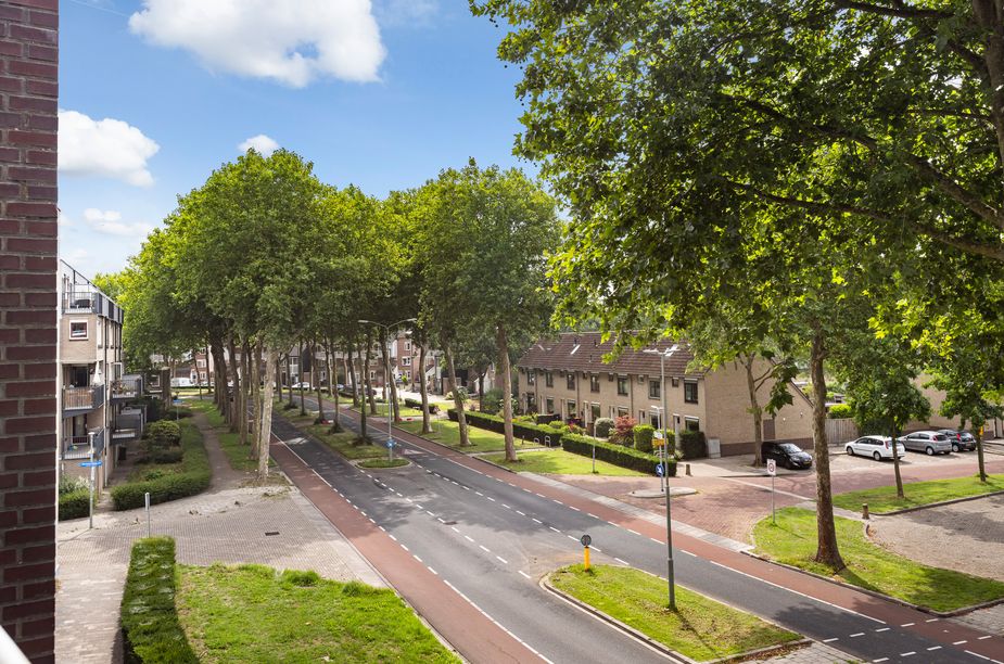 Hermann Hesse-erf 156