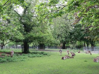 Oranjepark 12, DORDRECHT