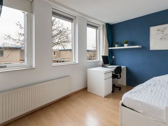 Palissander 195, DORDRECHT