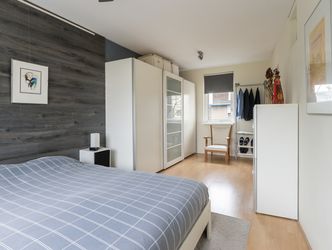 Palissander 195, DORDRECHT