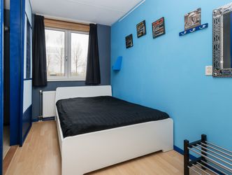 Palissander 195, DORDRECHT