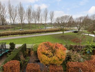 Palissander 195, DORDRECHT