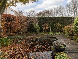 Palissander 195, DORDRECHT