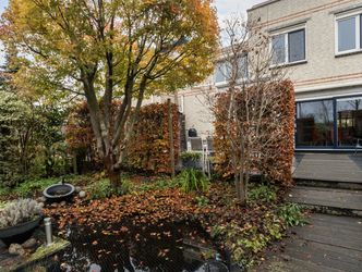 Palissander 195, DORDRECHT