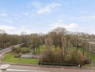 Leeuwstraat 348, DORDRECHT