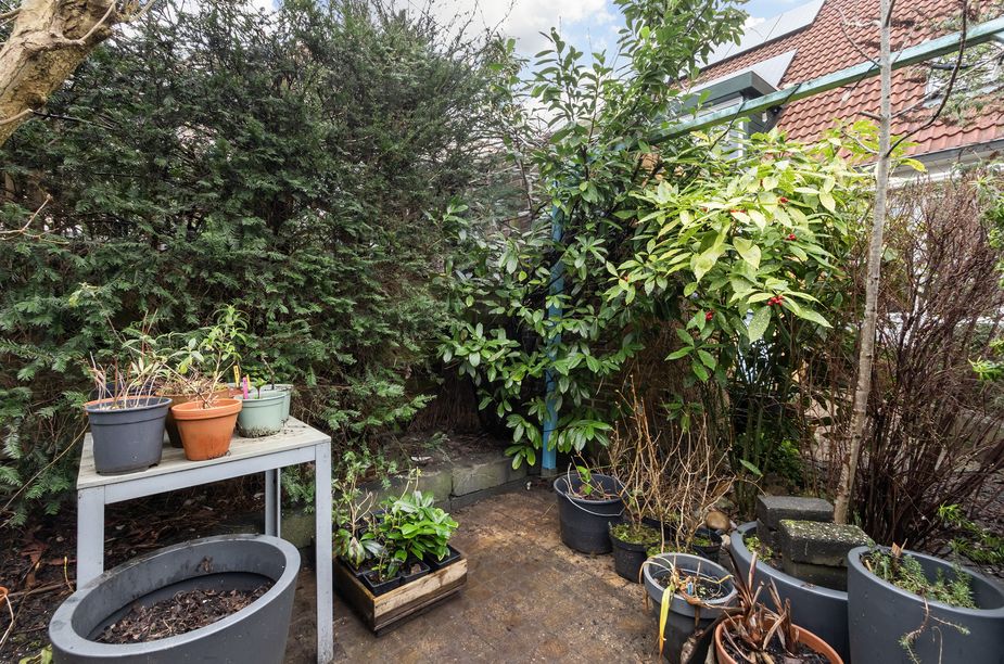 Suze Groeneweg-erf 403