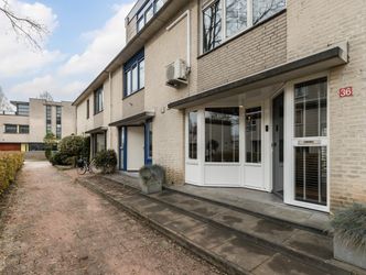 Branco 36, DORDRECHT