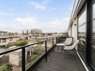 Branco 36, DORDRECHT