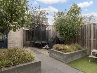 Branco 36, DORDRECHT