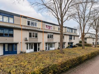 Branco 36, DORDRECHT