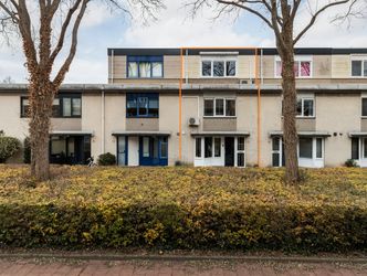 Branco 36, DORDRECHT