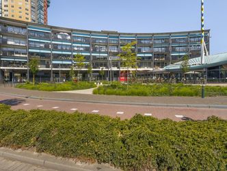 Branco 36, DORDRECHT