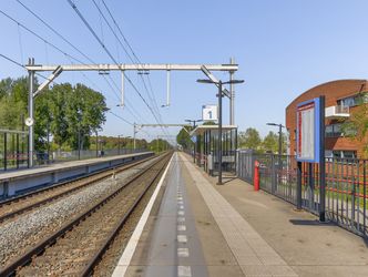 Branco 36, DORDRECHT