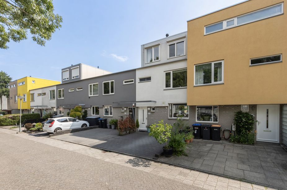 Chico Mendesring 151