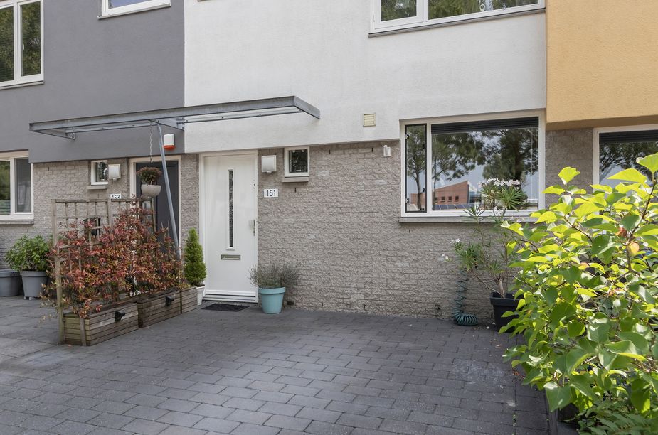 Chico Mendesring 151