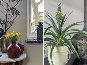 Dubbelsteynlaan Oost 183, DORDRECHT