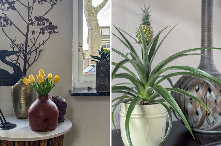 Dubbelsteynlaan Oost 183