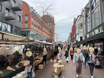 Sisarijs- of Sarisgang 2, Dordrecht