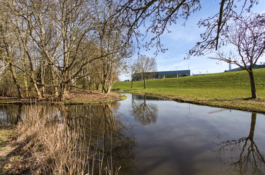 Groenestein 11