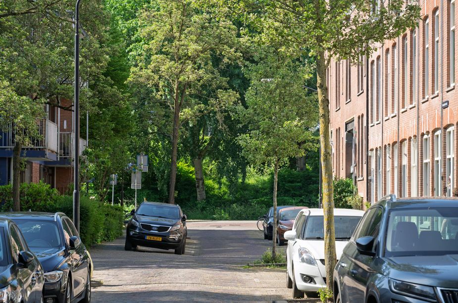Koninginnestraat 29