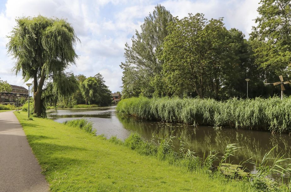 Goudestein 92