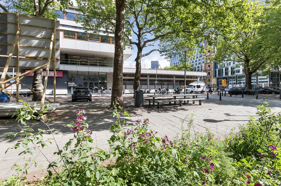 Teilingerstraat 57D