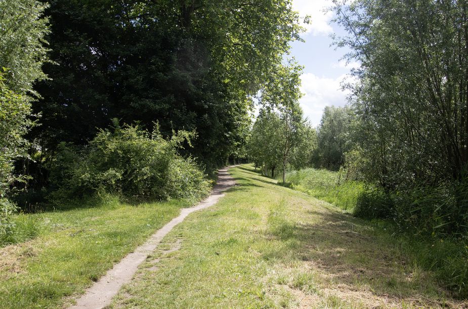 Zuidendijk 51