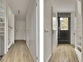Branco 19, DORDRECHT