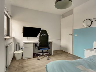 Branco 19, DORDRECHT