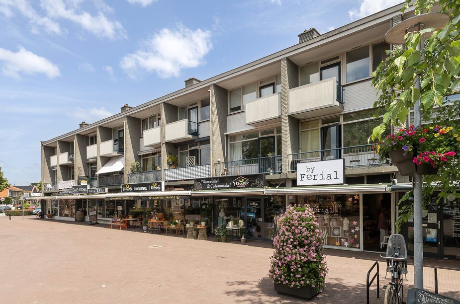 Baron van Boetzelaerlaan 4