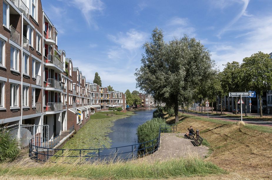 Slikveld 12