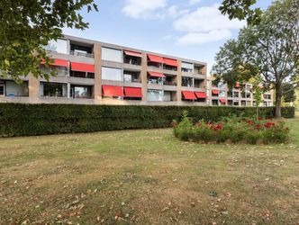 Campanula 84, DORDRECHT