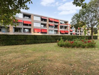 Campanula 84, DORDRECHT