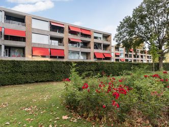 Campanula 84, DORDRECHT