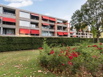 Campanula 84, DORDRECHT