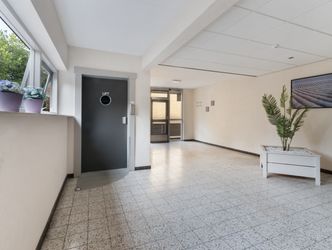 Campanula 84, DORDRECHT