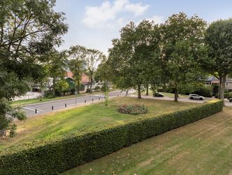 Campanula 84, DORDRECHT